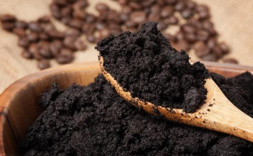 cafe-para-las-plantas-1
