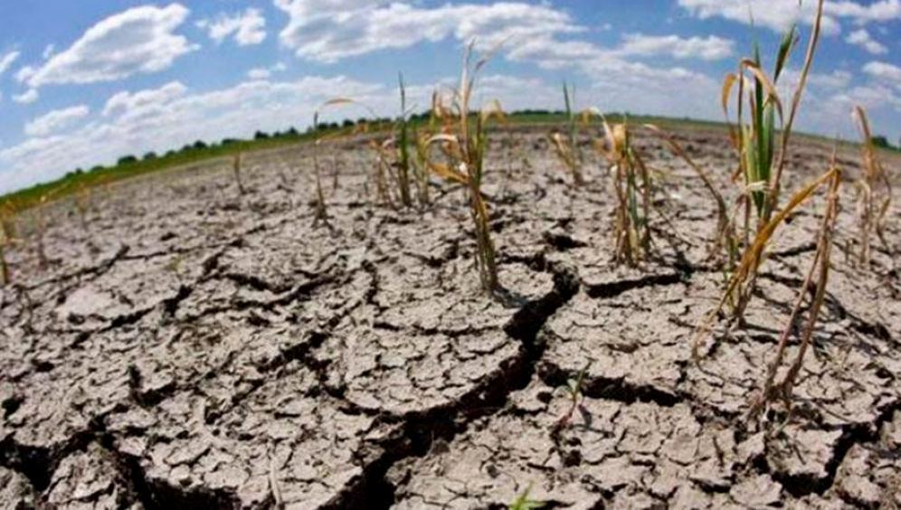 grave-crisis-climaticas-generan-perdidas-anuales-hasta-us-1400-millones-argentina-900179-191152