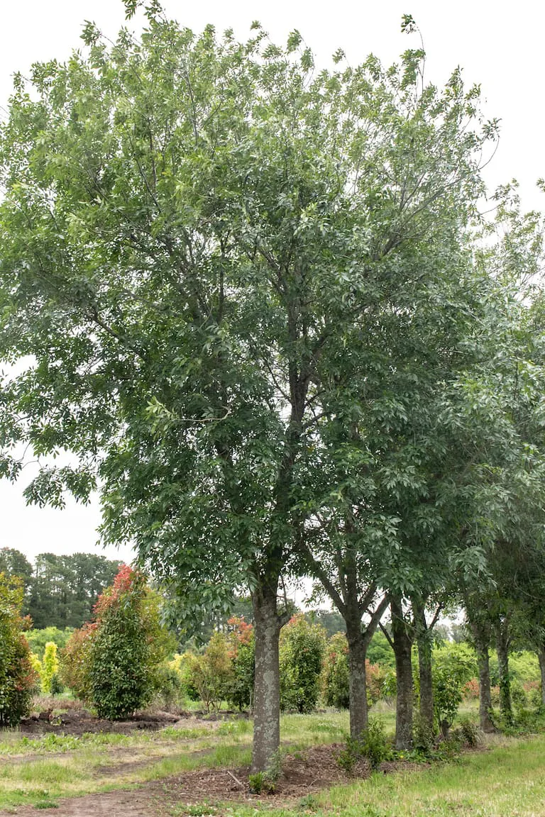 un-conjunto-de-6EEX7V2DCVEBZLJVLFP6MNRQ3M