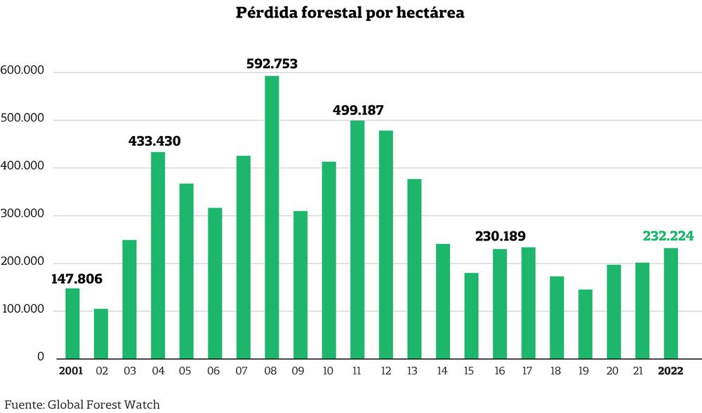 perdida_forestal_desktop_bea2a76c6d