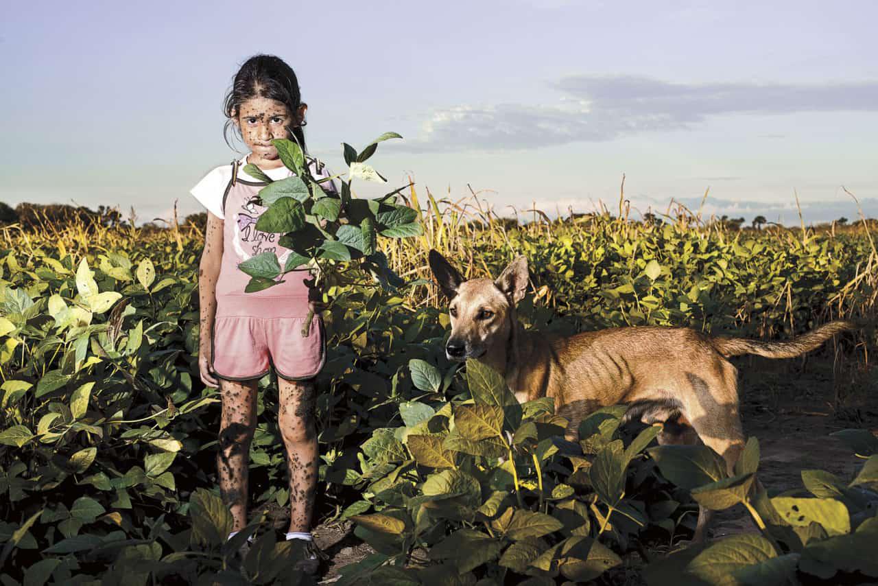 glifosato-argentina-3-1280x854
