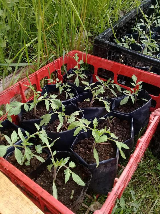 313192438_423058939995065_2165718762965399855_n