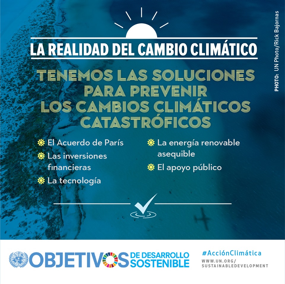 69685919_1259513947506090_4794752449594261504_n