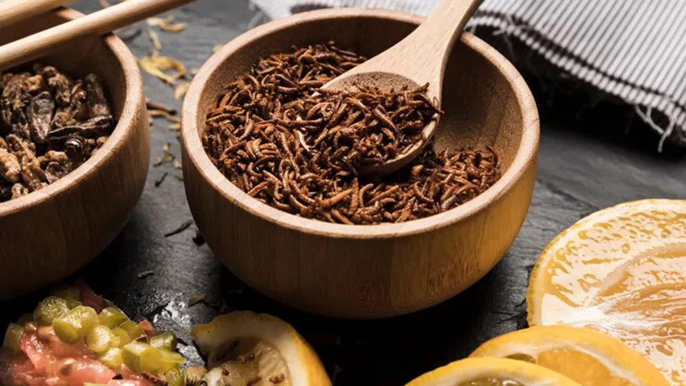 RQPBSAV2KFBS7OL7B6HX5GVCEM