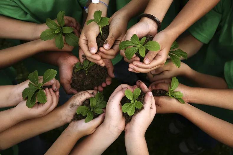 educacion_ambiental_ninosjpg