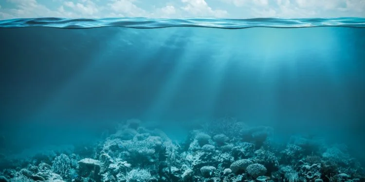 ¿Sabias-que-los-verdaderos-pulmones-del-planeta-estan-en-los-oceanos_-750x375-1.jpg