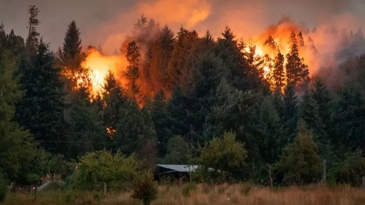 b5aca52d-9d99-4e13-8596-aedf3b4f6644-jpeg.