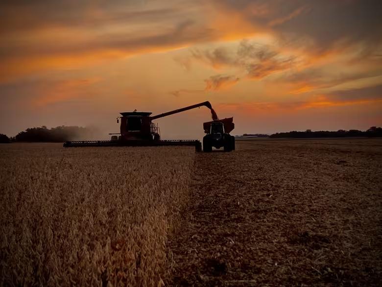 si-bien-la-disponibilidad-de-agua-es-un-factor-TLEONKTHMNAYPE3QCNRU3W6NIY