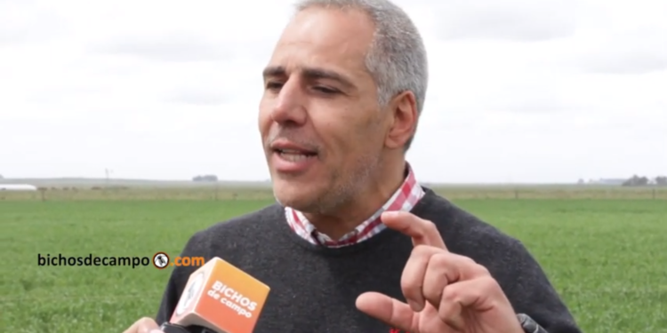 martin-zamora-inta-750x375