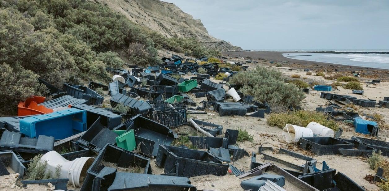 pEYpE7s1K_1256x620__2