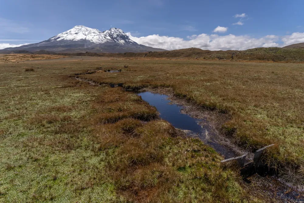 5N5BYWOQ2ZDHDFAD5ZEO4HRSXE