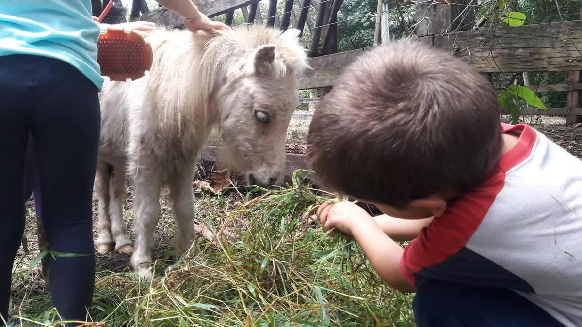 45BS3I5DJNCYDIDYJBLOCOO4BE