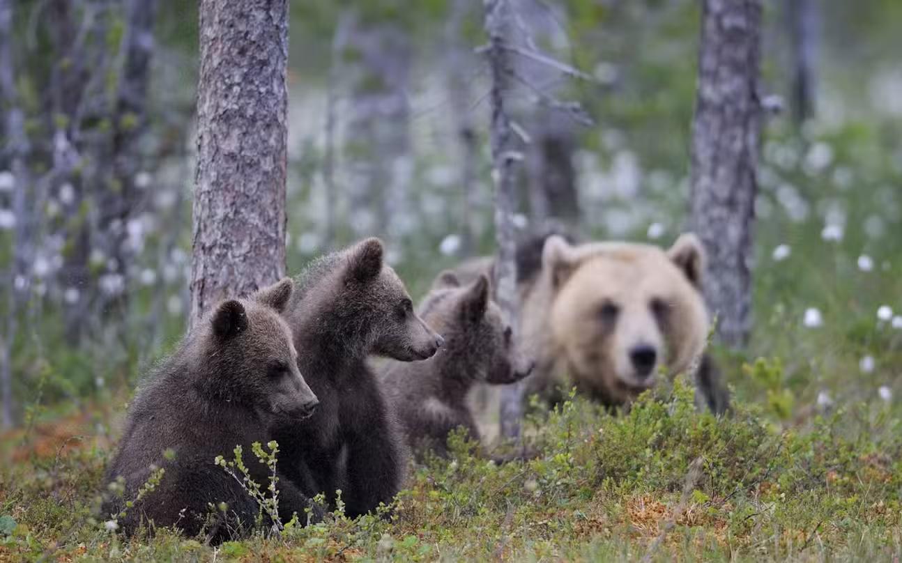 Captura-de-pantalla-2024-08-21-a-las-9.48.18 a.-m.png-_1_