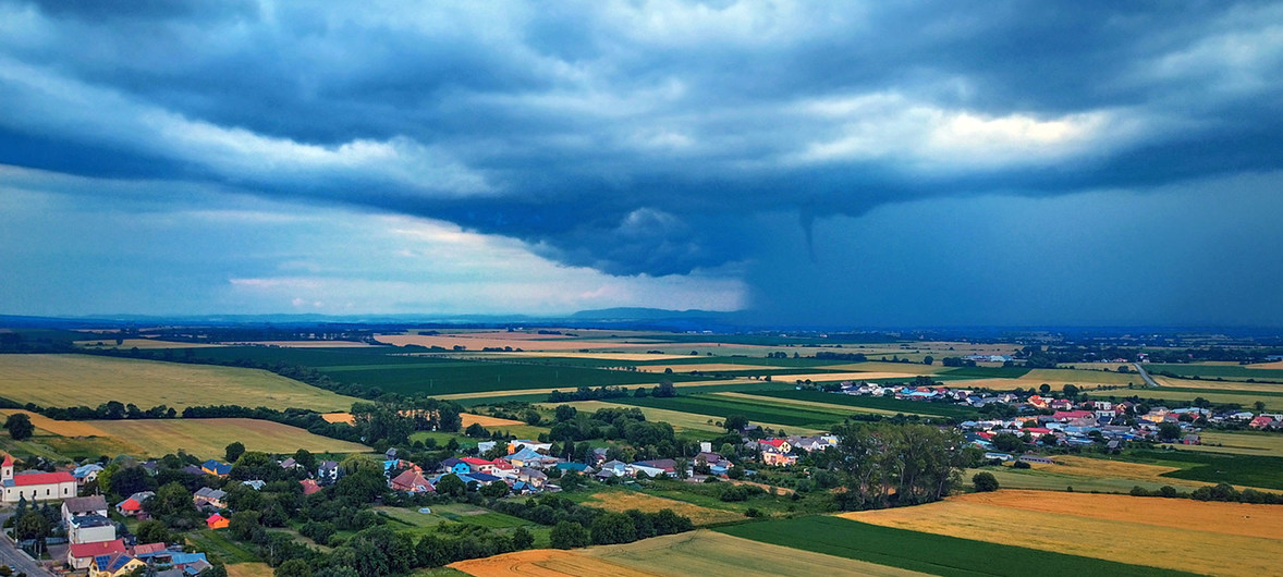 image1170x530cropped (2)