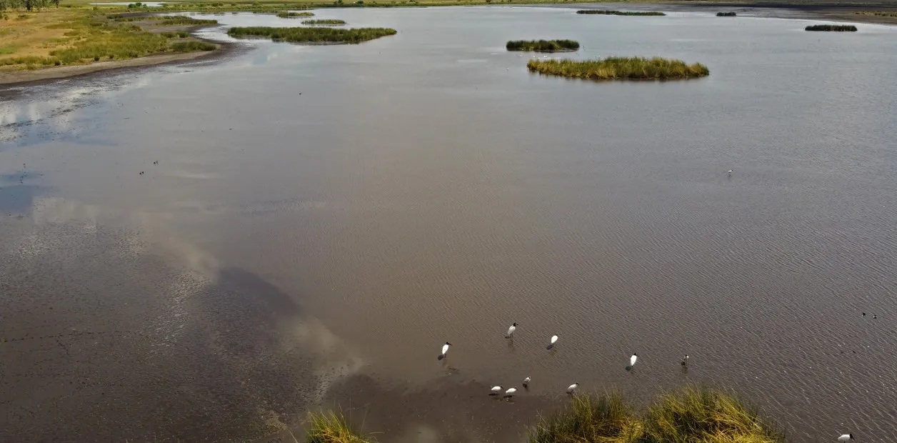 EkT55OVMs_1256x620__1