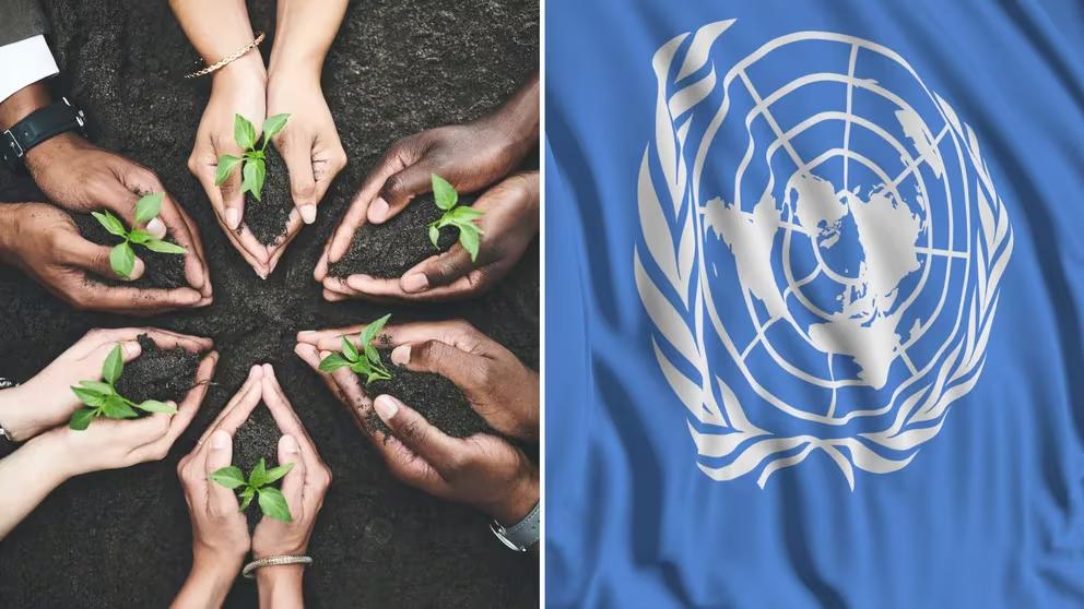 6ISWQNNTDVCE5JYII5XAK6NLVY