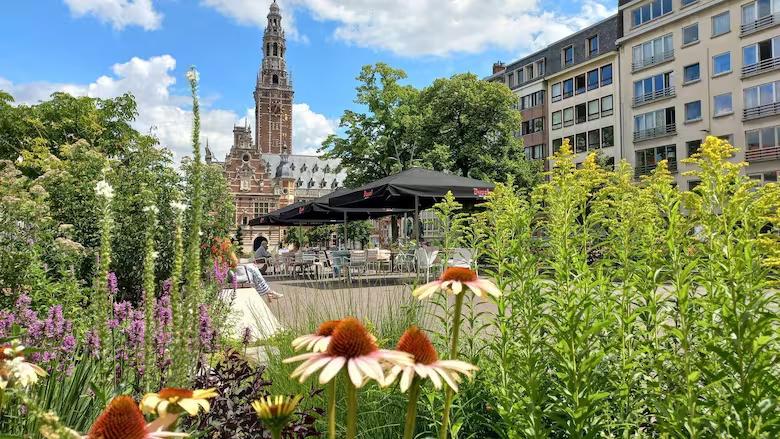 MGWV5LOWQRFSLJ5PQY32R4RV3I