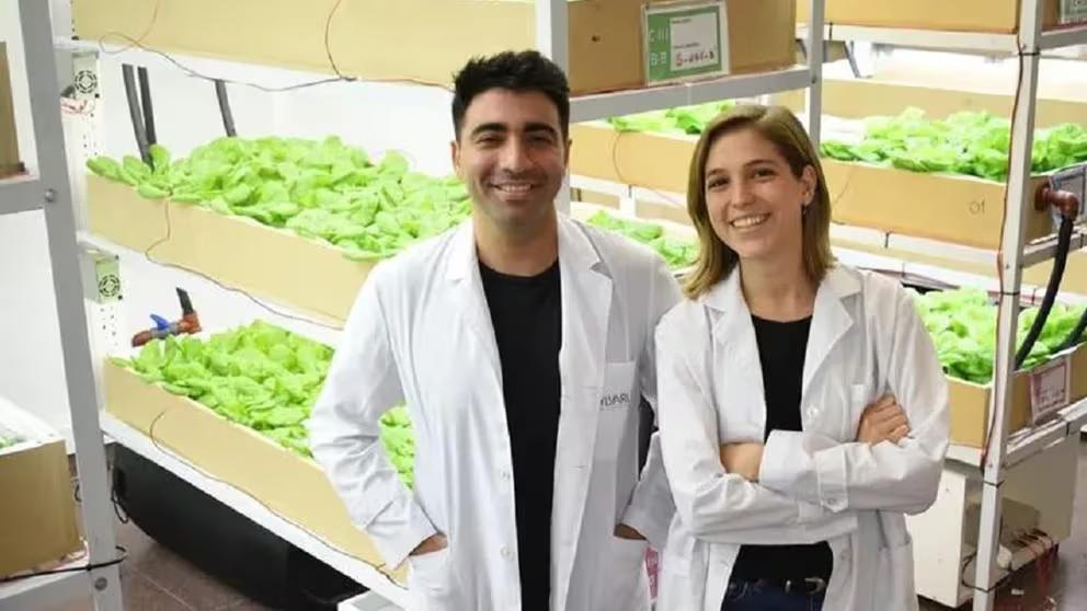 X6CJNDRIMFD35O5YSKG7E7HQVY