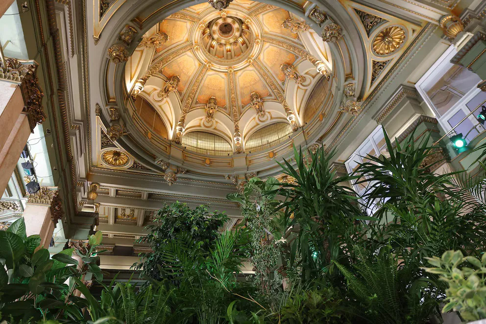 M4G7ZMCIIFFXTDP4PCZGJSOIJQ