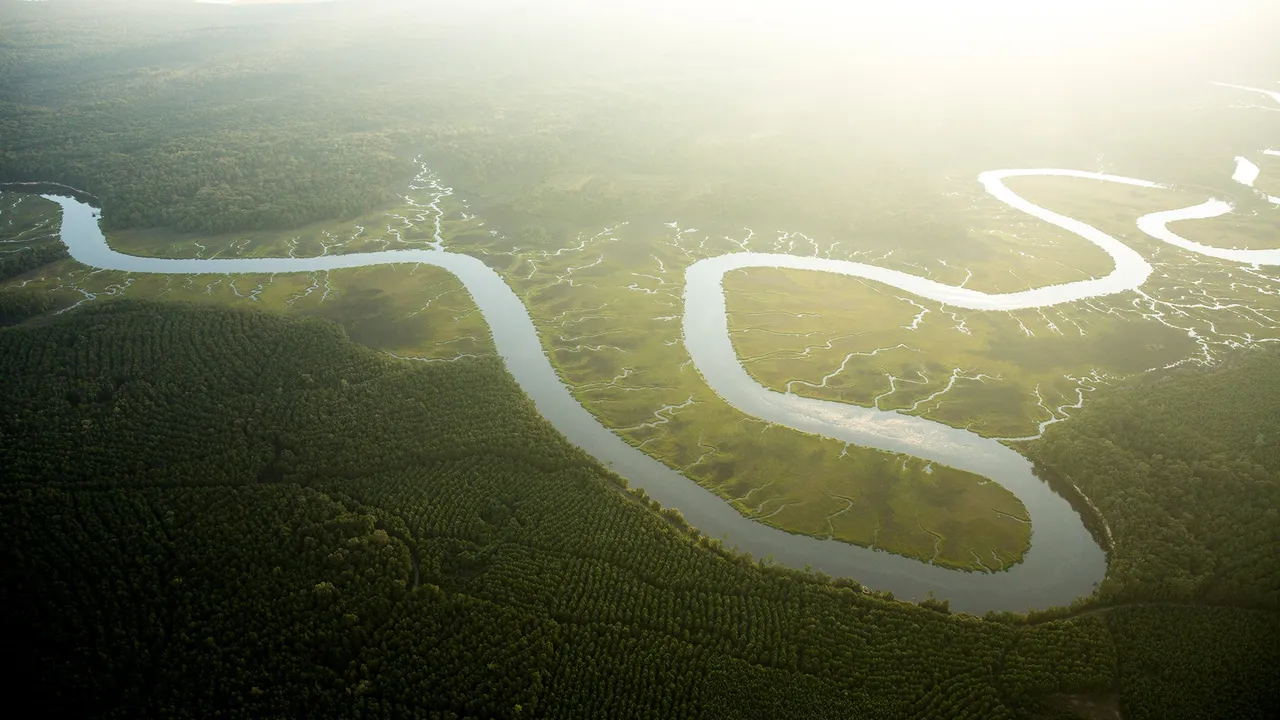 01-co2-plants-freshwater
