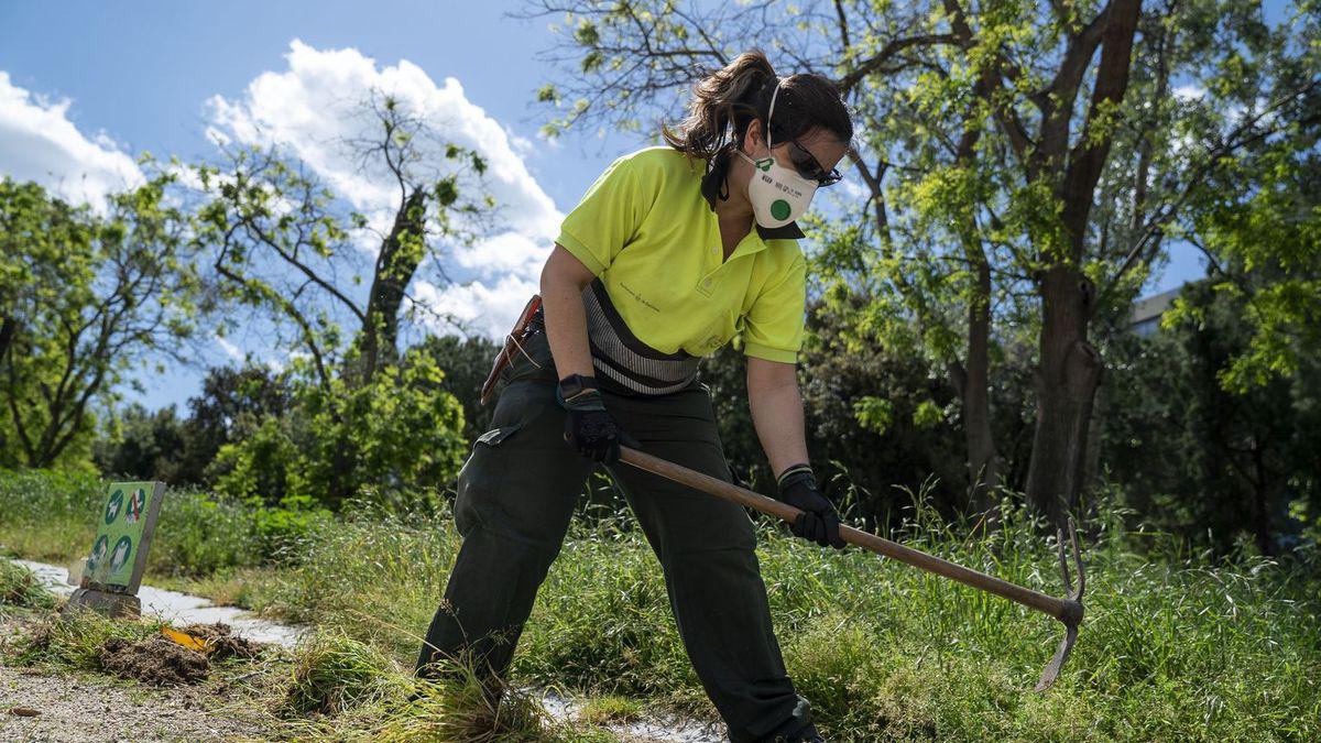 8a1e561d-b84f-49a2-8ae2-6676f1fed342_16-9-discover-aspect-ratio_default_0