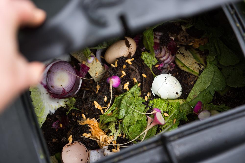 Compost