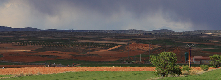 e9e35f765d66e041563953810