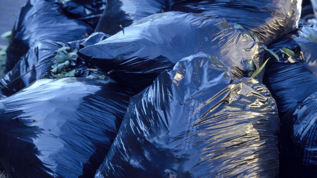 Medio_ambiente_473965434_147997574_1024x576