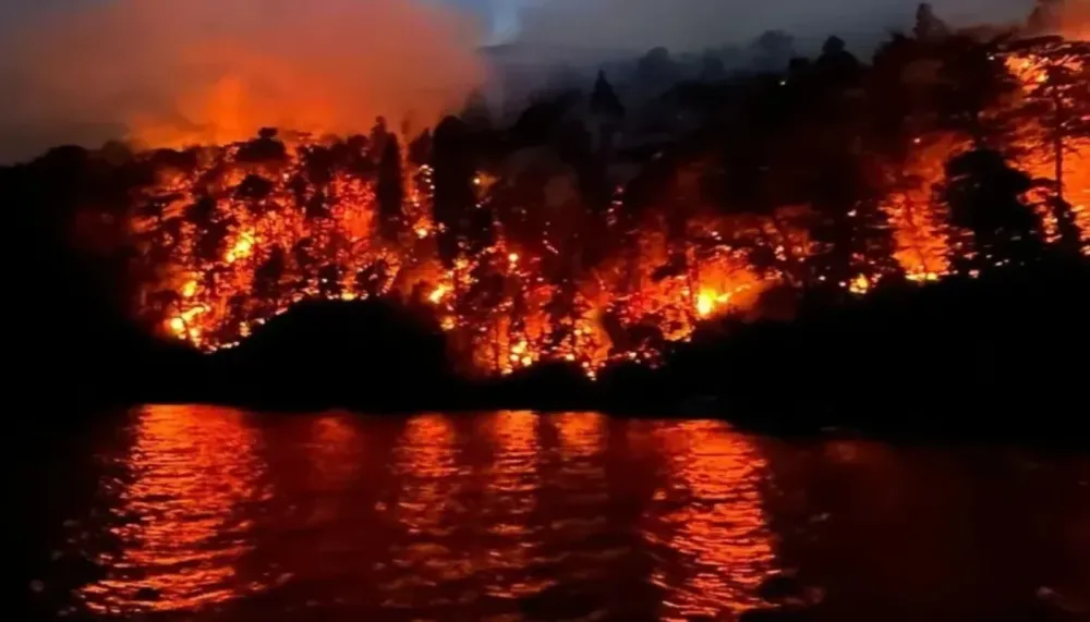 fuego