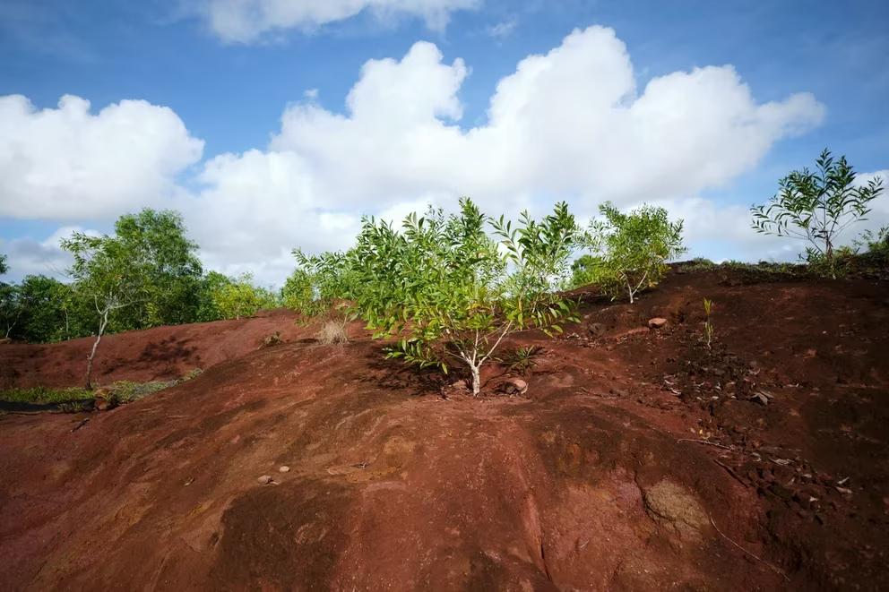 I3WGA4RYZNE7BHQG4BBQ6YNBGU