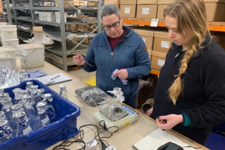 un-grupo-de-cientificos-del-reino-unido-descubrio-42XCG5VQ35A3NFWI546KMDW44I