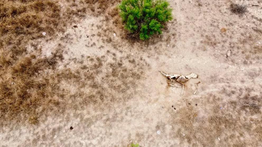 EJGLT4FTORA4DJEBUOLP2TX3WI