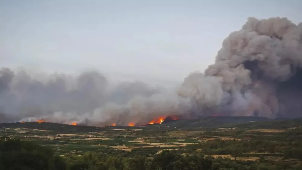 1366x768_cmsv2_a39b22fd-3ed3-5953-b682-97b9a0c57339-9410115