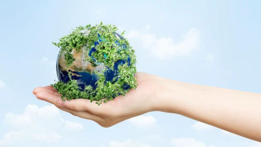 f848x477-1333819_1391622_3846