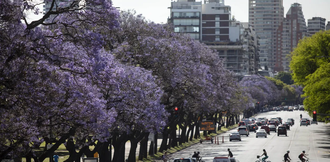 fLA8XiQzn_1256x620__1