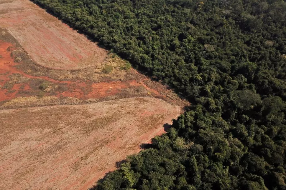 Deforestacion/Amazonia
