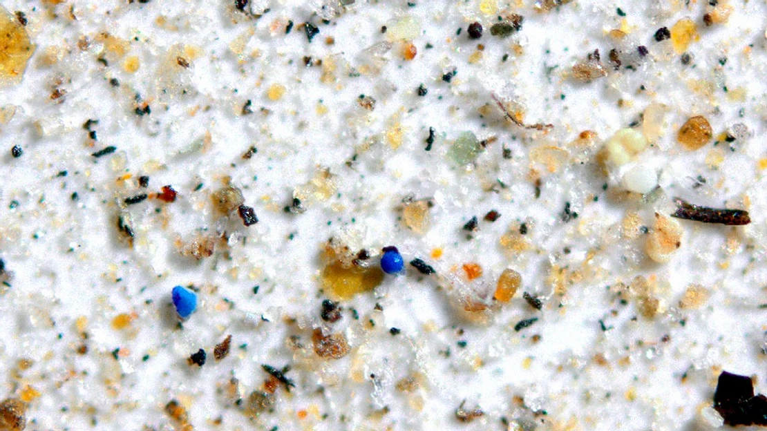 Microplasticos