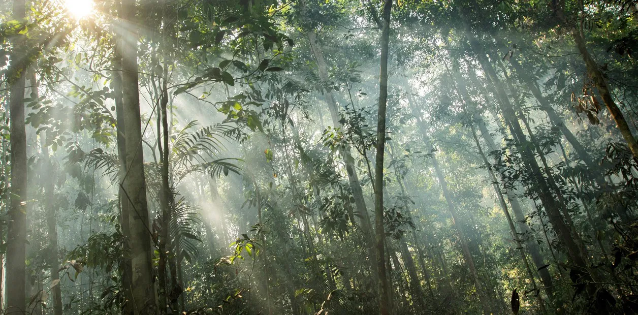 WTyIgHcXE_1256x620__1