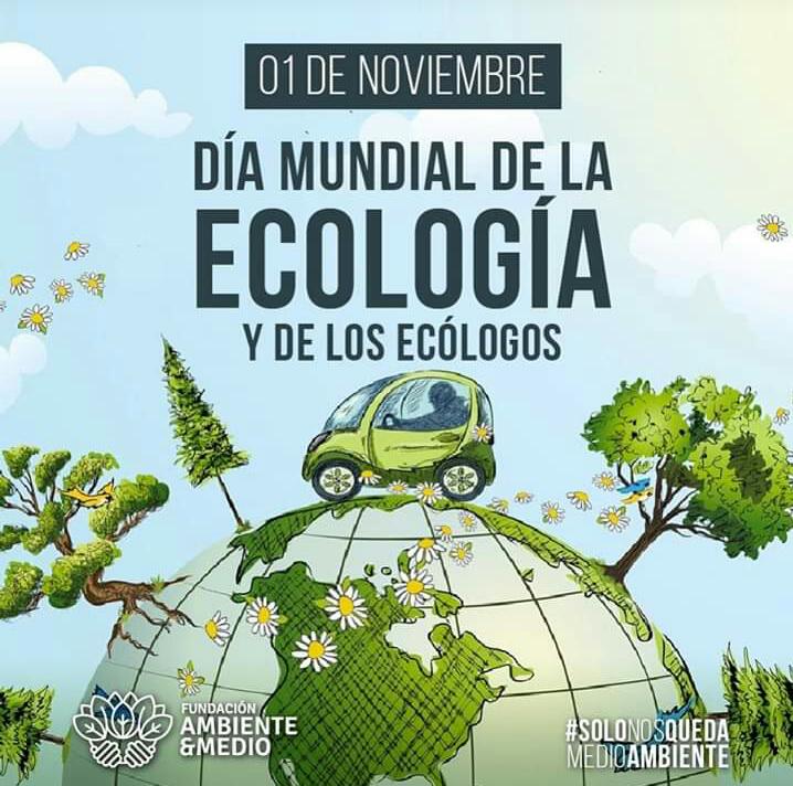 WhatsApp Image 2019-11-01 at 16.45.14