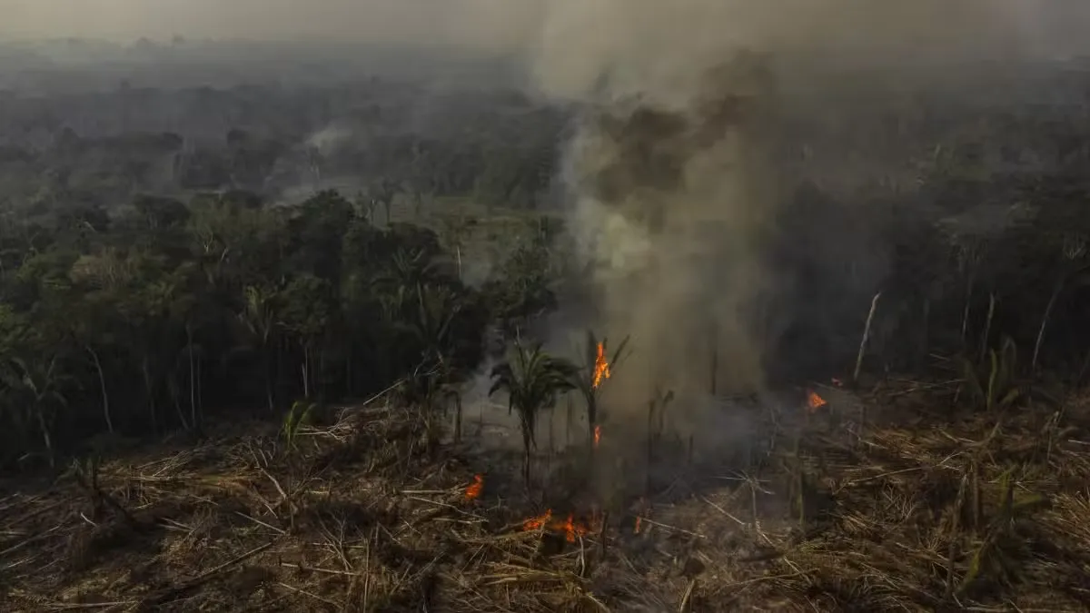 Amazonas-incendio-econews.jpg