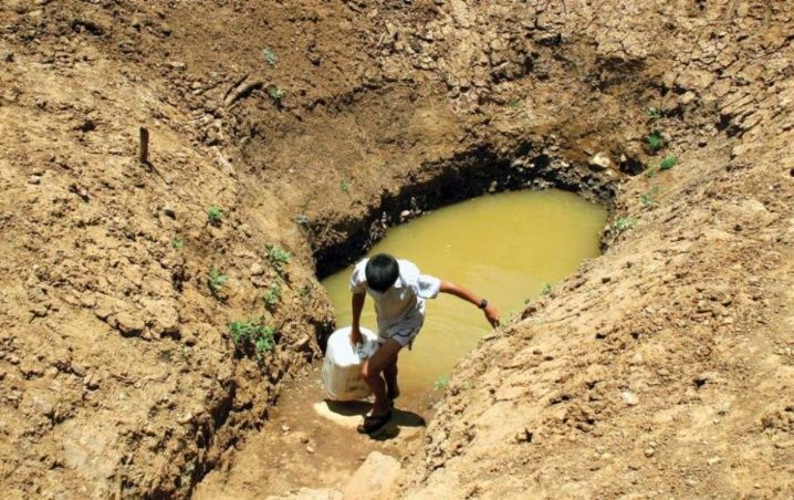 dt_common_streams_streamserver_1.jpeg_793492074