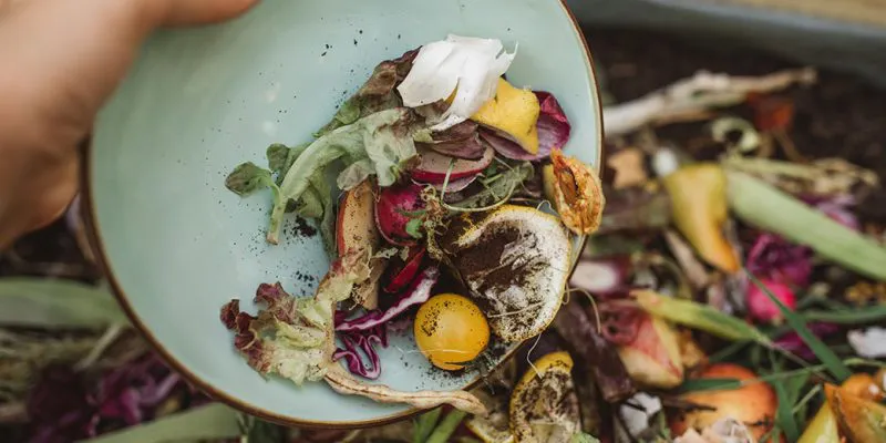 food-waste-blog-owhny75ml2jcb4a8pw2cr2ta9e5m6wirgnakr4vna8