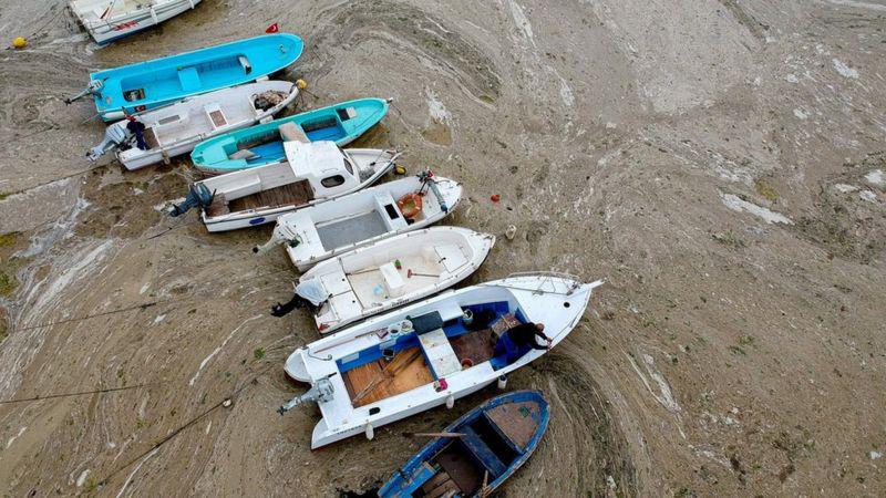 _118816895_gettyimages-1233266860