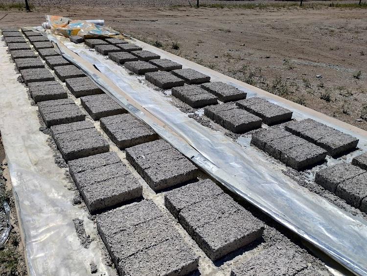 WhatsApp-Image-2023-12-07-at-17.19.10