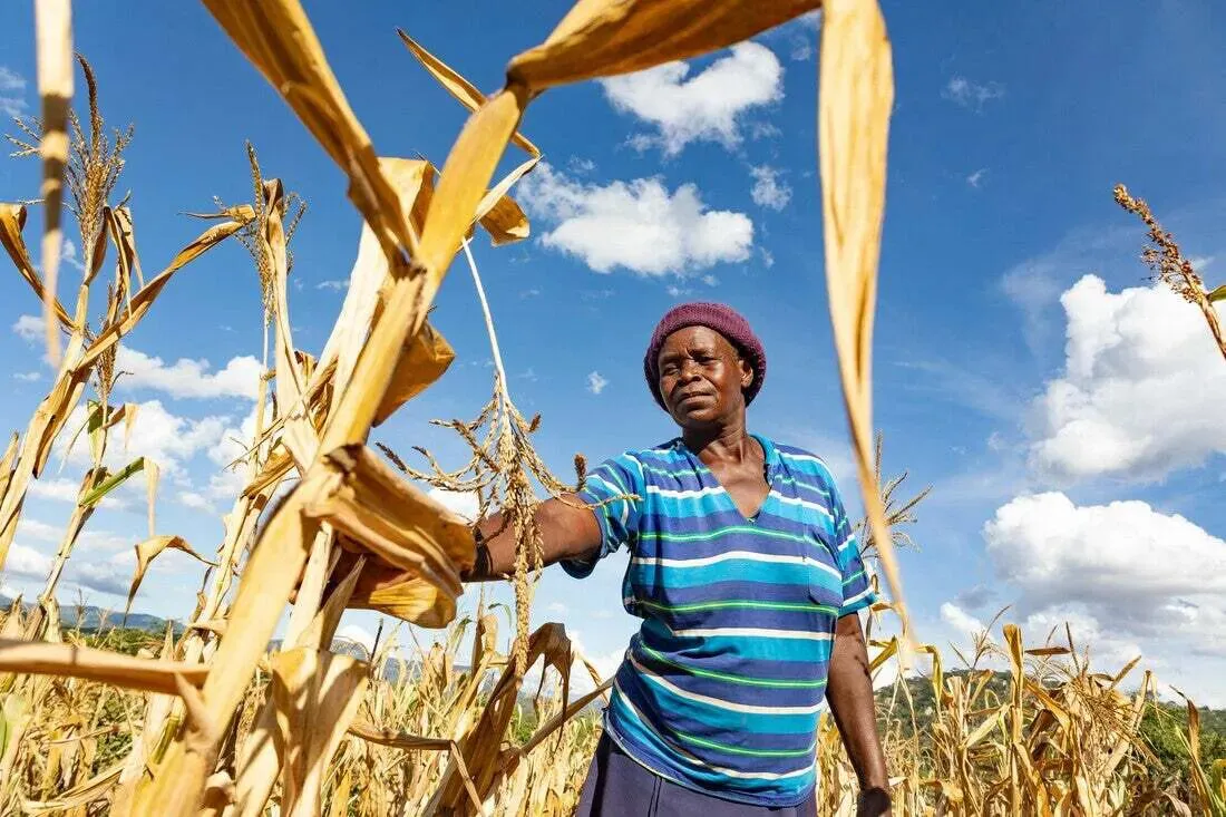 1.-RS112933_2024_Zimbambwe_drought-03_scr_Tanaka-Chitsa_CARE