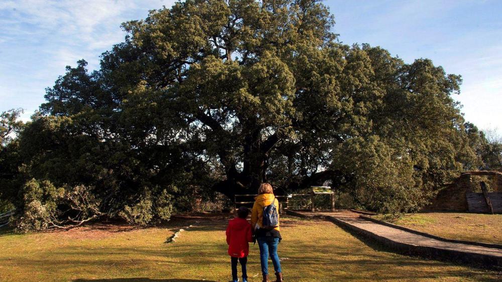 f1456x819-1544051_1714421_5050