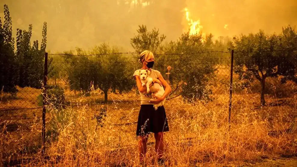 09112024incendioafpg-1908589