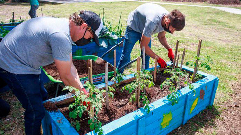 Compostaje/Plantacion