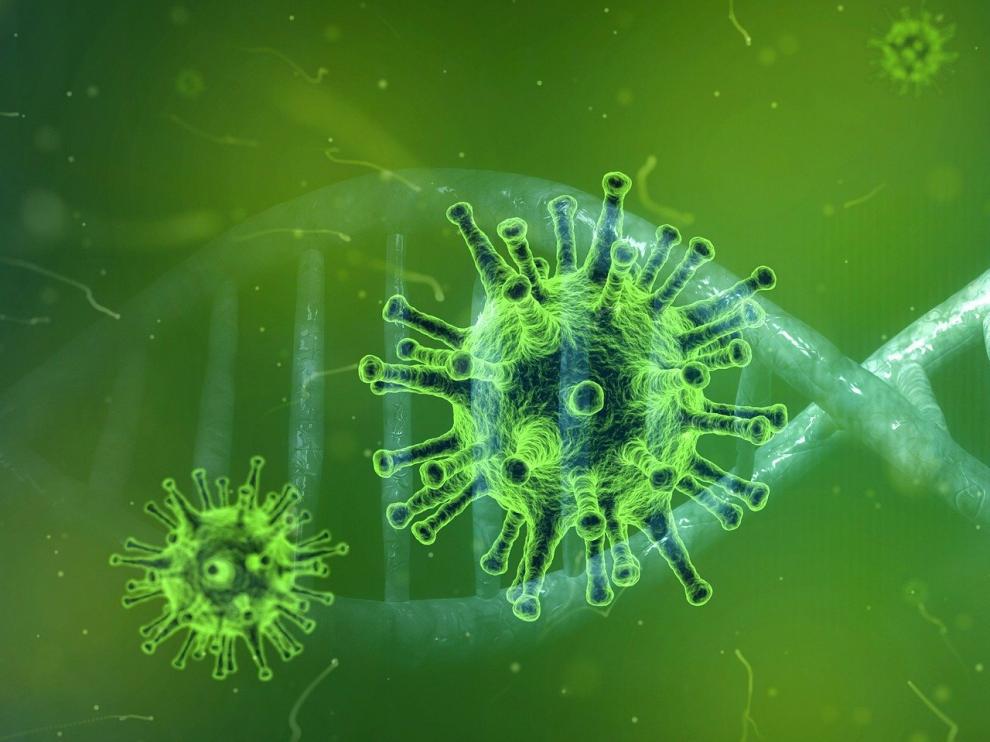 coronavirus