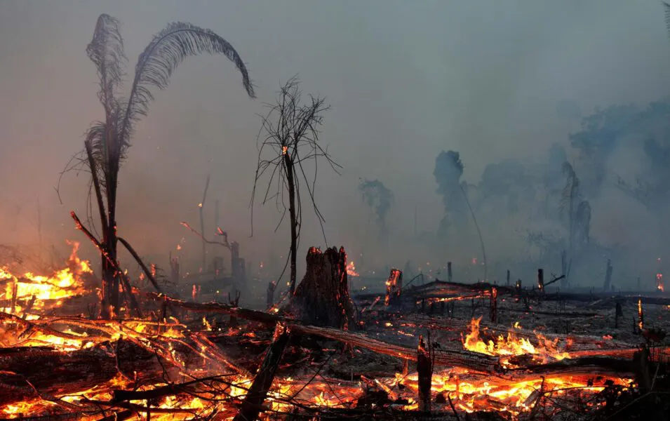 2019-09-03T004800Z_1166500161_RC177B6E2770_RTRMADP_3_BRAZIL-ENVIRONMENT-WILDFIRES-955x600